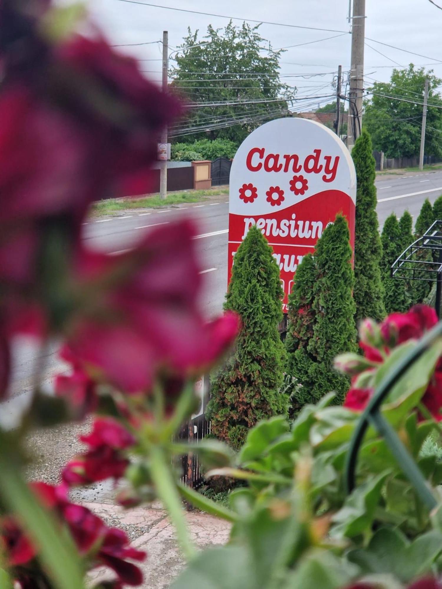 Candy Pensiune&Restaurant Dumbrava Rosie ภายนอก รูปภาพ